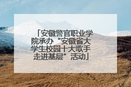 安徽警官职业学院承办“安徽省大学生校园十大歌手走进基层”活动