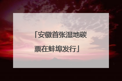 安徽首张湿地碳票在蚌埠发行