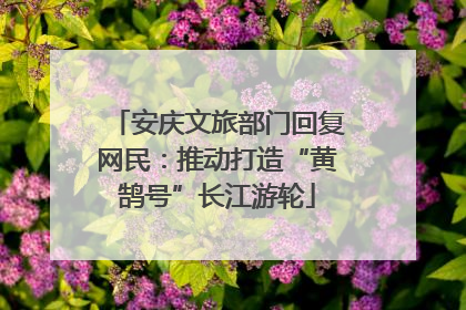 安庆文旅部门回复网民：推动打造“黄鹄号”长江游轮