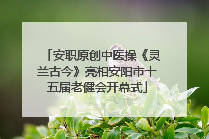 安职原创中医操《灵兰古今》亮相安阳市十五届老健会开幕式