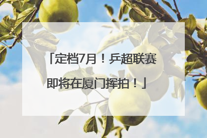 定档7月！乒超联赛即将在厦门挥拍！
