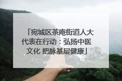 宛城区茶庵街道人大代表在行动：弘扬中医文化 把脉基层健康