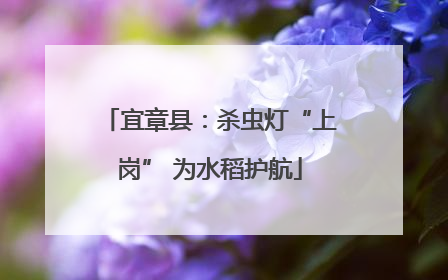 宜章县：杀虫灯“上岗” 为水稻护航