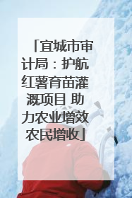宜城市审计局：护航红薯育苗灌溉项目 助力农业增效农民增收