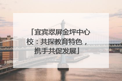 宜宾翠屏金坪中心校：共探教育特色，携手共促发展