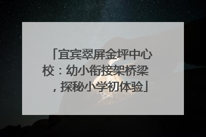 宜宾翠屏金坪中心校：幼小衔接架桥梁，探秘小学初体验
