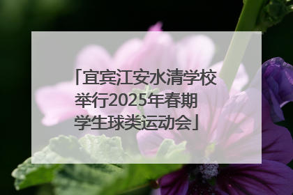 宜宾江安水清学校举行2025年春期学生球类运动会