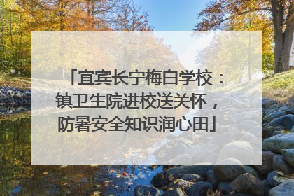 宜宾长宁梅白学校：镇卫生院进校送关怀，防暑安全知识润心田