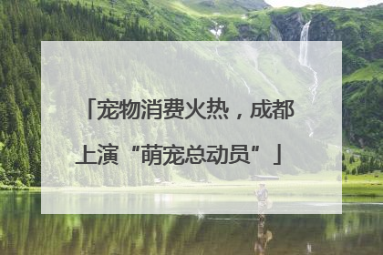 宠物消费火热，成都上演“萌宠总动员”