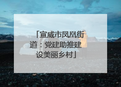 宣威市凤凰街道：党建助推建设美丽乡村