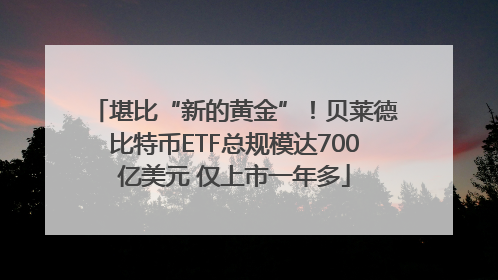 堪比“新的黄金”！贝莱德比特币ETF总规模达700亿美元 仅上市一年多