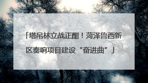 塔吊林立战正酣！菏泽鲁西新区奏响项目建设“奋进曲”