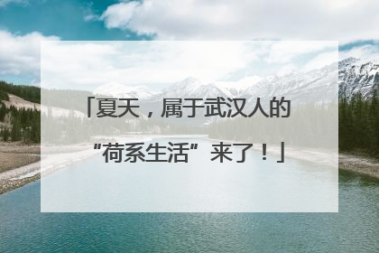 夏天，属于武汉人的“荷系生活”来了！