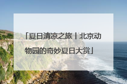 夏日清凉之旅丨北京动物园的奇妙夏日大赏