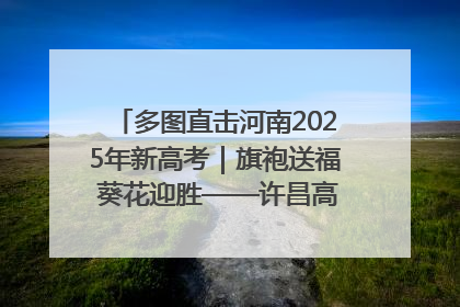 多图直击河南2025年新高考｜旗袍送福 葵花迎胜——许昌高考首日拉开帷幕