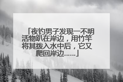 夜钓男子发现一不明活物趴在岸边，用竹竿将其拨入水中后，它又爬回岸边……