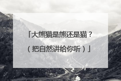 大熊猫是熊还是猫？（把自然讲给你听）