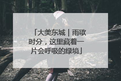 大美东城｜雨歇时分，这里藏着一片会呼吸的绿境