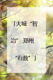 大城“智治” 郑州“有数”