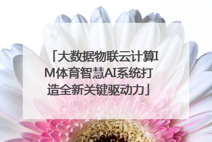 大数据物联云计算IM体育智慧AI系统打造全新关键驱动力