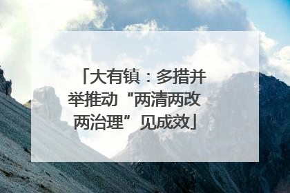 大有镇：多措并举推动“两清两改两治理”见成效