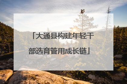 大通县构建年轻干部选育管用成长链