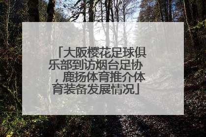 大阪樱花足球俱乐部到访烟台足协，鹿扬体育推介体育装备发展情况