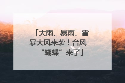 大雨、暴雨、雷暴大风来袭！台风“蝴蝶”来了