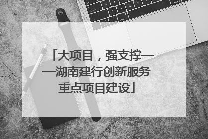 大项目，强支撑——湖南建行创新服务重点项目建设