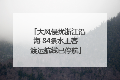 大风侵扰浙江沿海 84条水上客渡运航线已停航