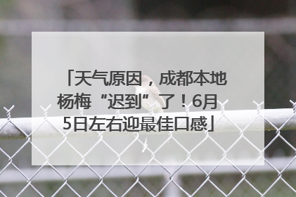 天气原因，成都本地杨梅“迟到”了！6月5日左右迎最佳口感