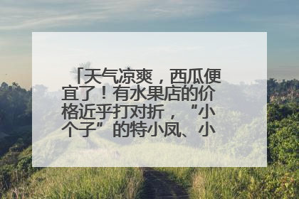 天气凉爽，西瓜便宜了！有水果店的价格近乎打对折，“小个子”的特小凤、小糖丸更好卖
