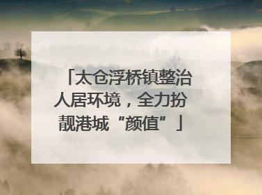 太仓浮桥镇整治人居环境,全力扮靓港城“颜值”