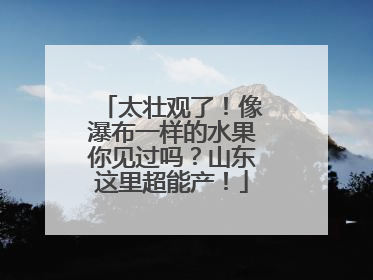 太壮观了！像瀑布一样的水果你见过吗？山东这里超能产！