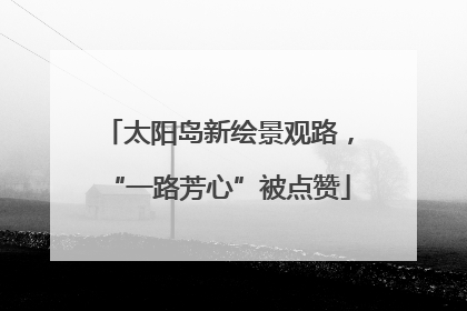 太阳岛新绘景观路，“一路芳心”被点赞
