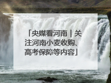 央媒看河南｜关注河南小麦收购、高考保障等内容