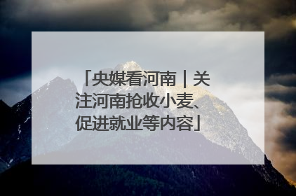 央媒看河南｜关注河南抢收小麦、促进就业等内容