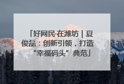 好网民·在潍坊｜夏俊磊：创新引领，打造“幸福码头”典范