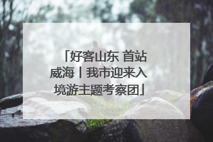 好客山东 首站威海丨我市迎来入境游主题考察团