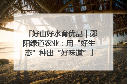 好山好水育优品｜郧阳绿道农业：用“好生态”种出“好味道”