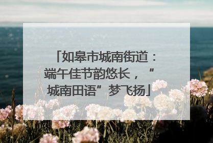 如皋市城南街道：端午佳节韵悠长，“城南田语”梦飞扬