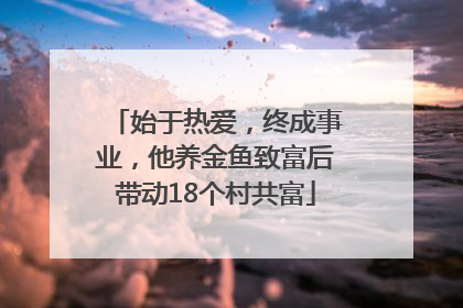 始于热爱，终成事业，他养金鱼致富后带动18个村共富