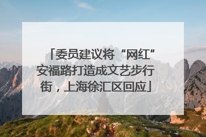 委员建议将“网红”安福路打造成文艺步行街，上海徐汇区回应