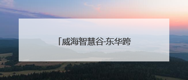 威海智慧谷·东华跨境电商产业园开园