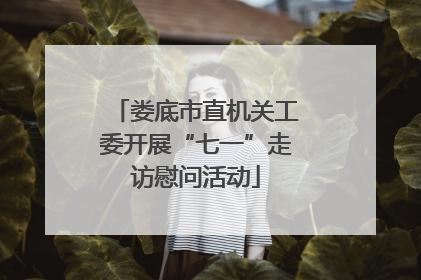 娄底市直机关工委开展“七一”走访慰问活动