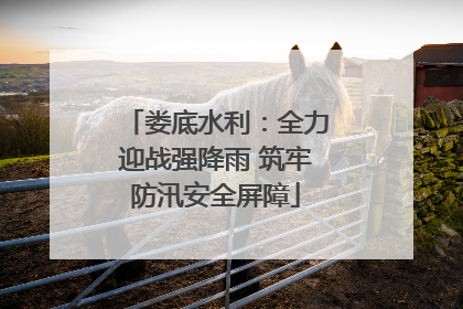 娄底水利：全力迎战强降雨 筑牢防汛安全屏障