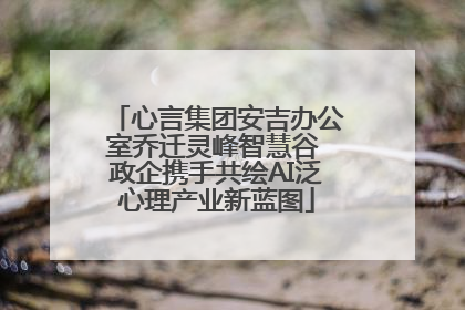 心言集团安吉办公室乔迁灵峰智慧谷 政企携手共绘AI泛心理产业新蓝图