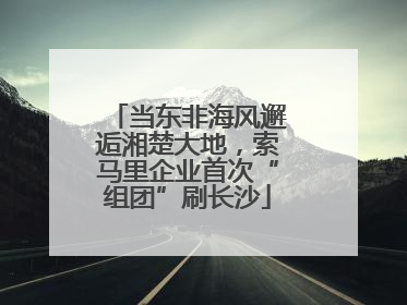 当东非海风邂逅湘楚大地，索马里企业首次“组团”刷长沙