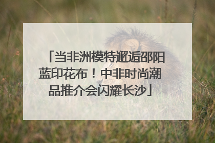 当非洲模特邂逅邵阳蓝印花布！中非时尚潮品推介会闪耀长沙
