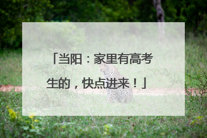 当阳：家里有高考生的，快点进来！